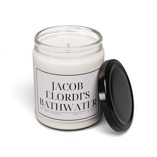 jacob elordi's bathwater – saltburn 9oz candle