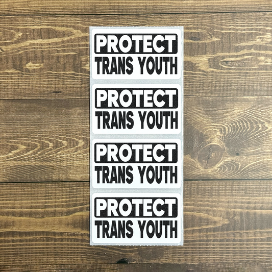 Protect Trans Youth | Trans Rights Protest Bulk Stickers