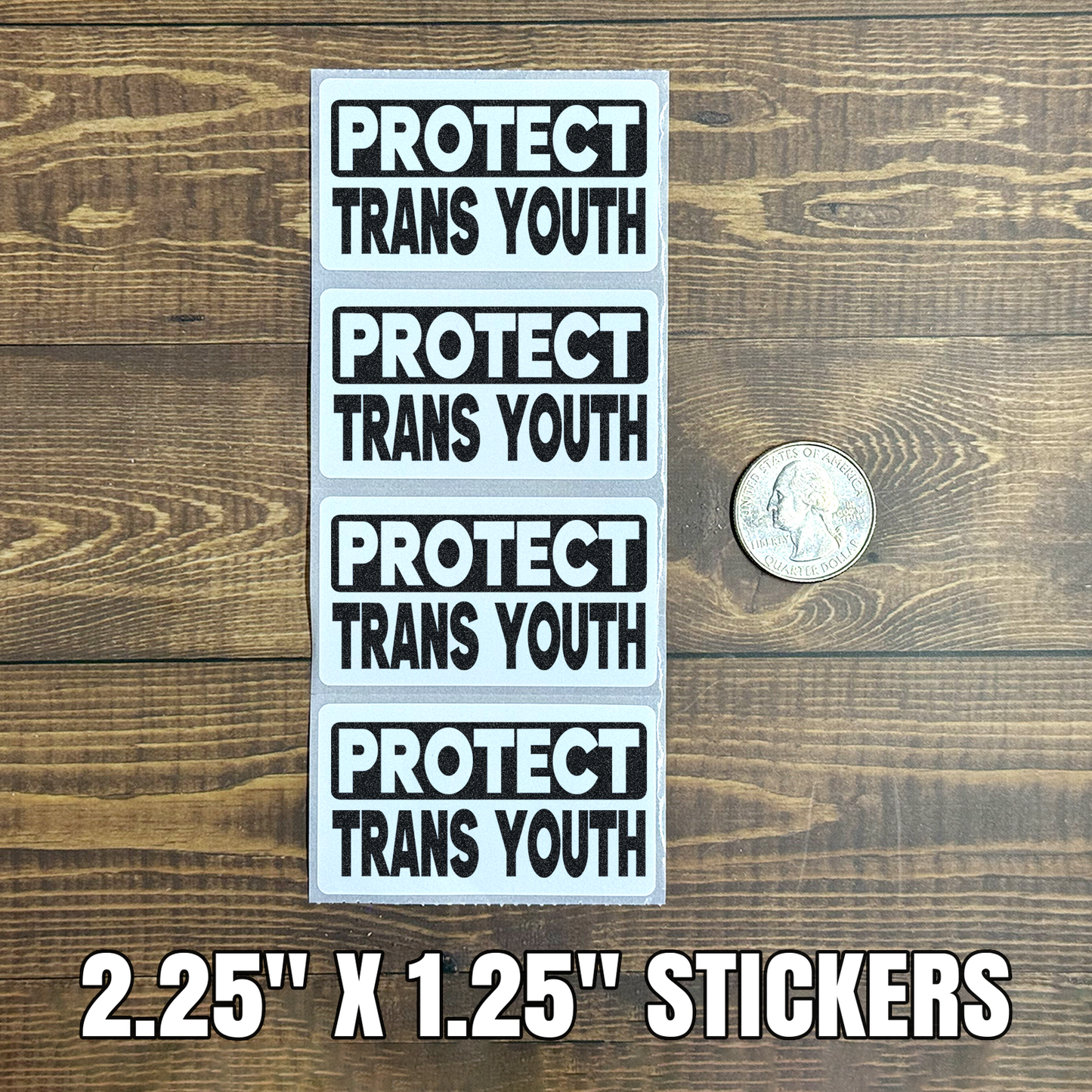 Protect Trans Youth | Trans Rights Protest Bulk Stickers