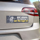 let the light in – lana del rey car magnet