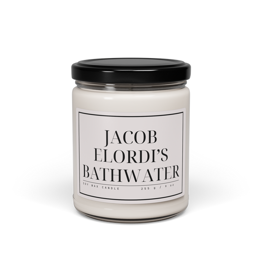 jacob elordi's bathwater – saltburn 9oz candle