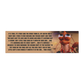 horace the shrimp – funny shark tales car magnet