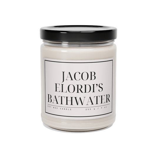 jacob elordi's bathwater – saltburn 9oz candle